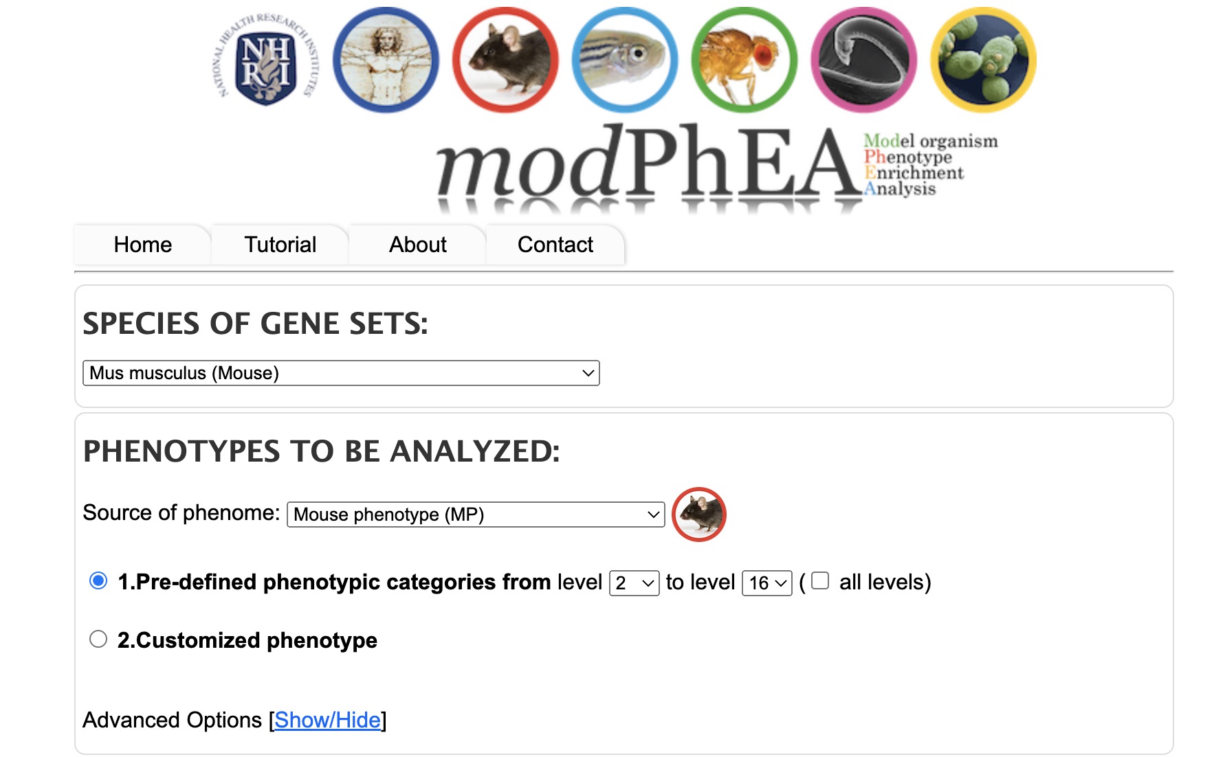modPhEA